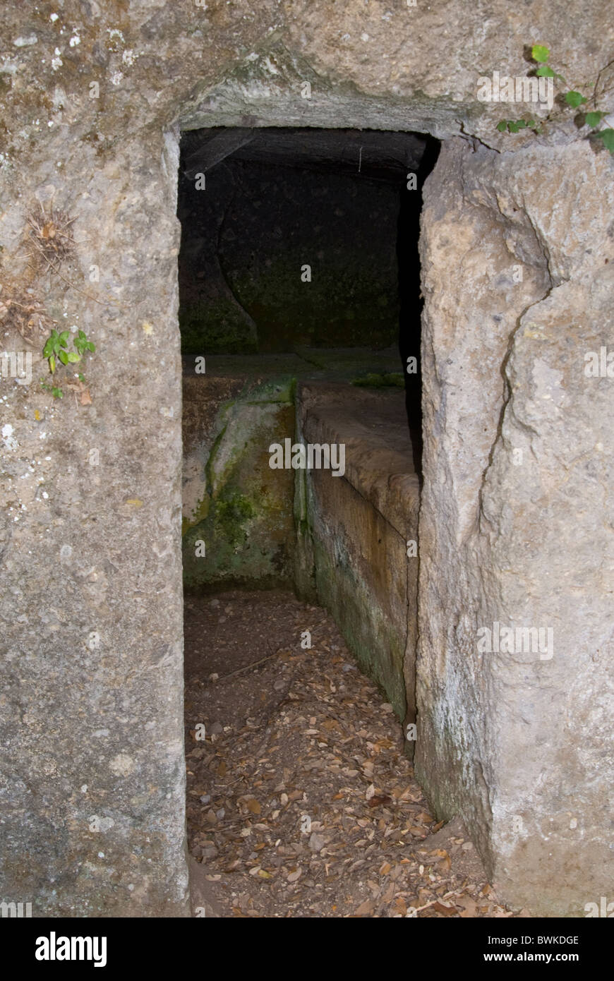 Etruskische Grab, etruskischen Nekropole von Le Scalette, Tuscania, Provinz Viterbo, Latium, Italien Stockfoto