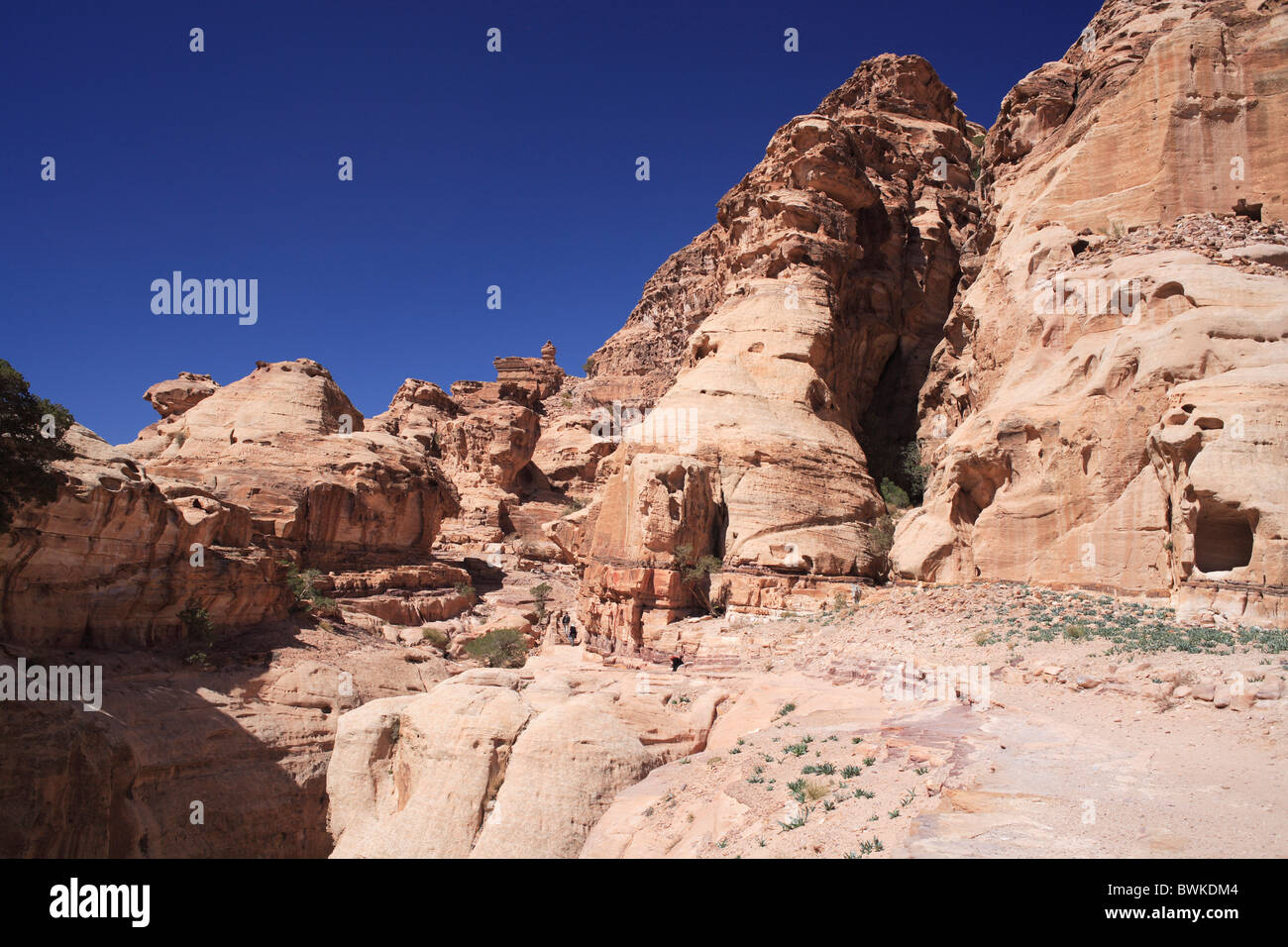 Petra Klippe Antike Antike Rockkultur Jordanien Naher Osten Stockfoto