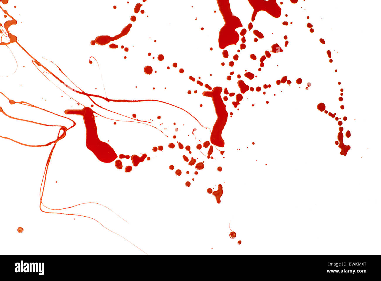 Blutigen Hintergrund. Blut rot imitieren zu malen, Spritzer und Tropfen auf weiß Stockfoto