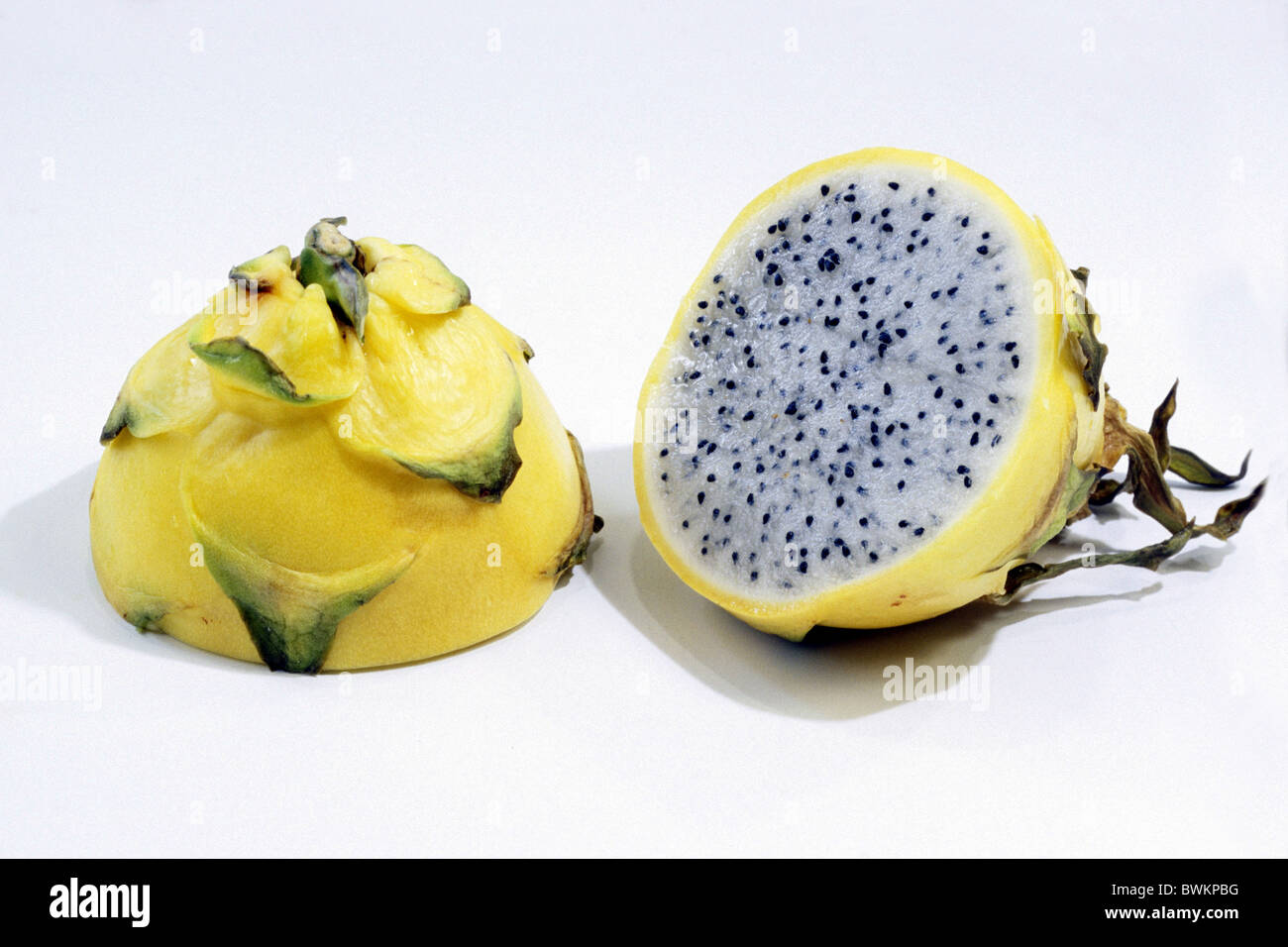 Gelbe Pitaya Drachenfrucht (Selenicereus Megalanthus), halbierte Früchte, Studio Bild. Stockfoto