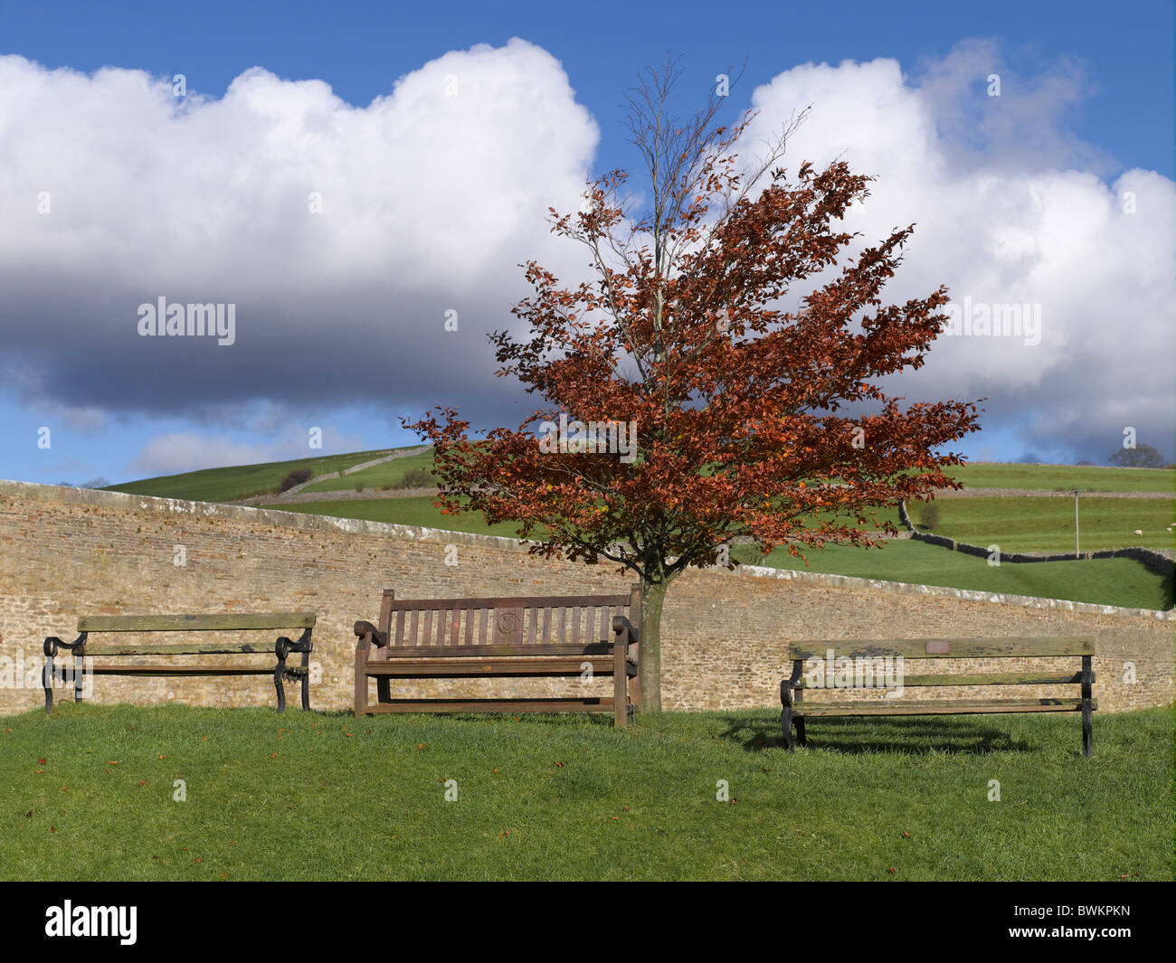 Drei hölzernen Sitze Buche im Herbst Burnsall unteren Wharfedale North Yorkshire England UK United Kingdom GB Great Britain Stockfoto