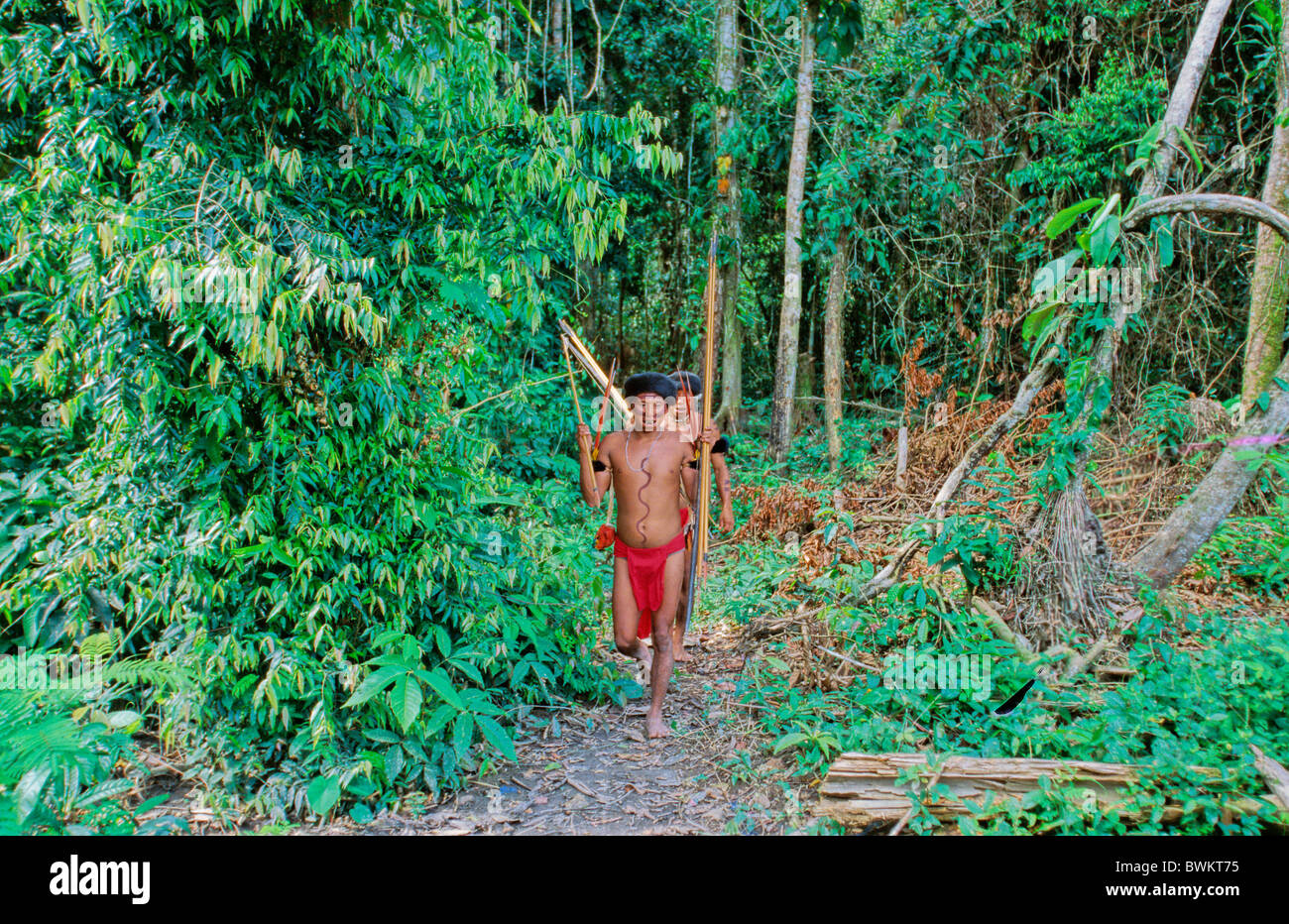 Venezuela Südamerika Yanomami Ironavi Stamm Indios Jäger Bogen Pfeil Männer Mann Bogenschützen Bogenschütze Jagd Hun Stockfoto