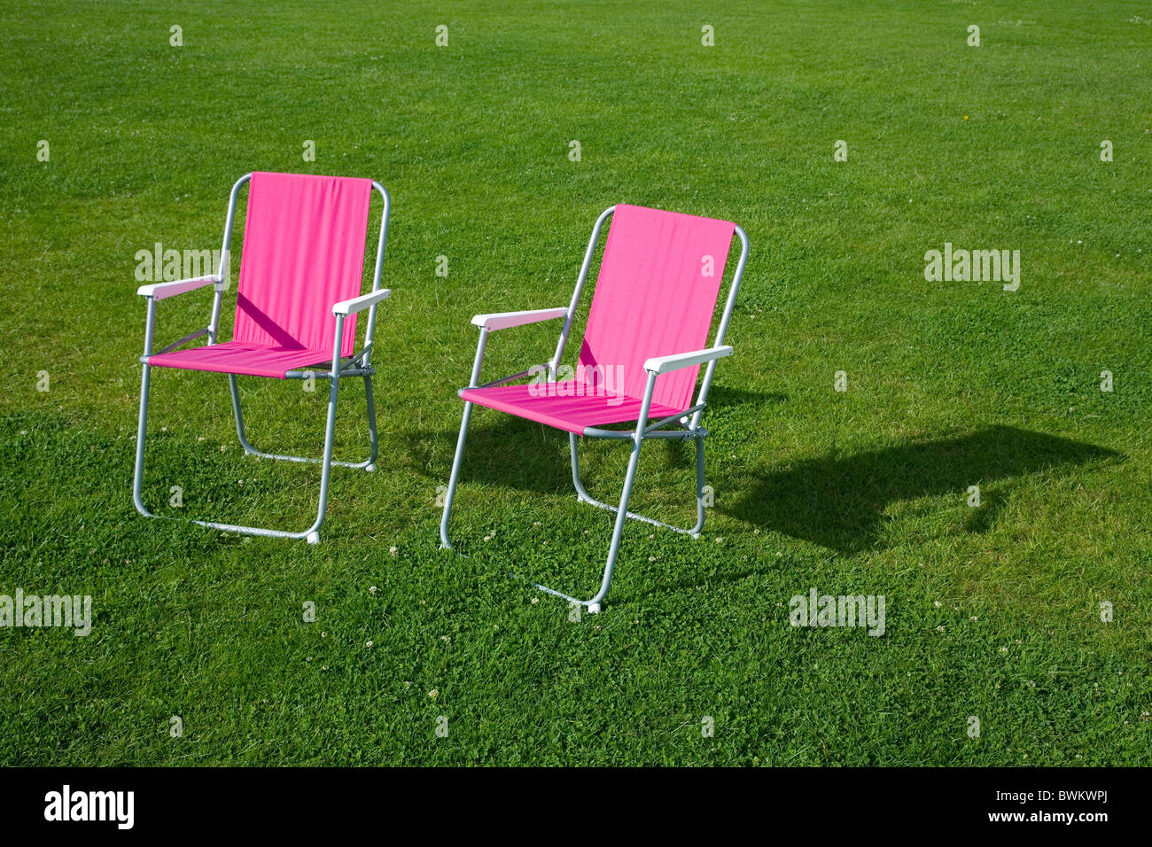 Zwei Rosa liegen auf dem Rasen im Sommer Stockfoto Zwei Rosa liegen auf dem Rasen im Sommer Stockfoto