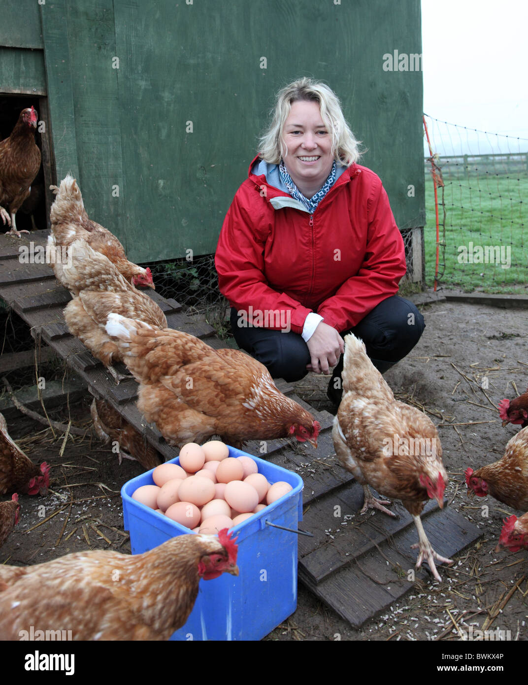 Bio-Landwirt Jenny Young mit Hühnern und Eiern neue gelegt Stockfoto