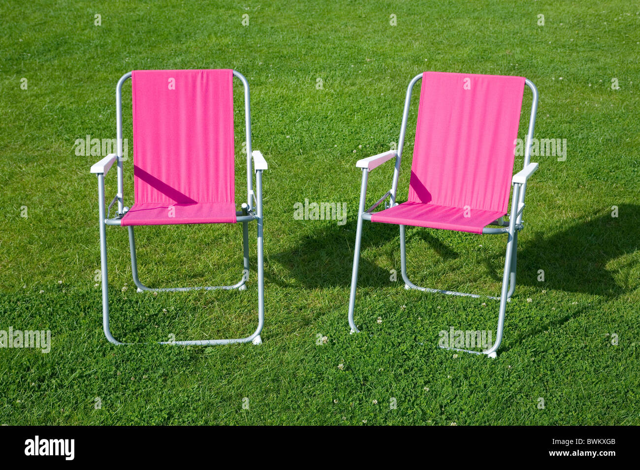 Zwei Rosa liegen auf dem Rasen im Sommer Stockfoto Zwei Rosa liegen auf dem Rasen im Sommer Stockfoto