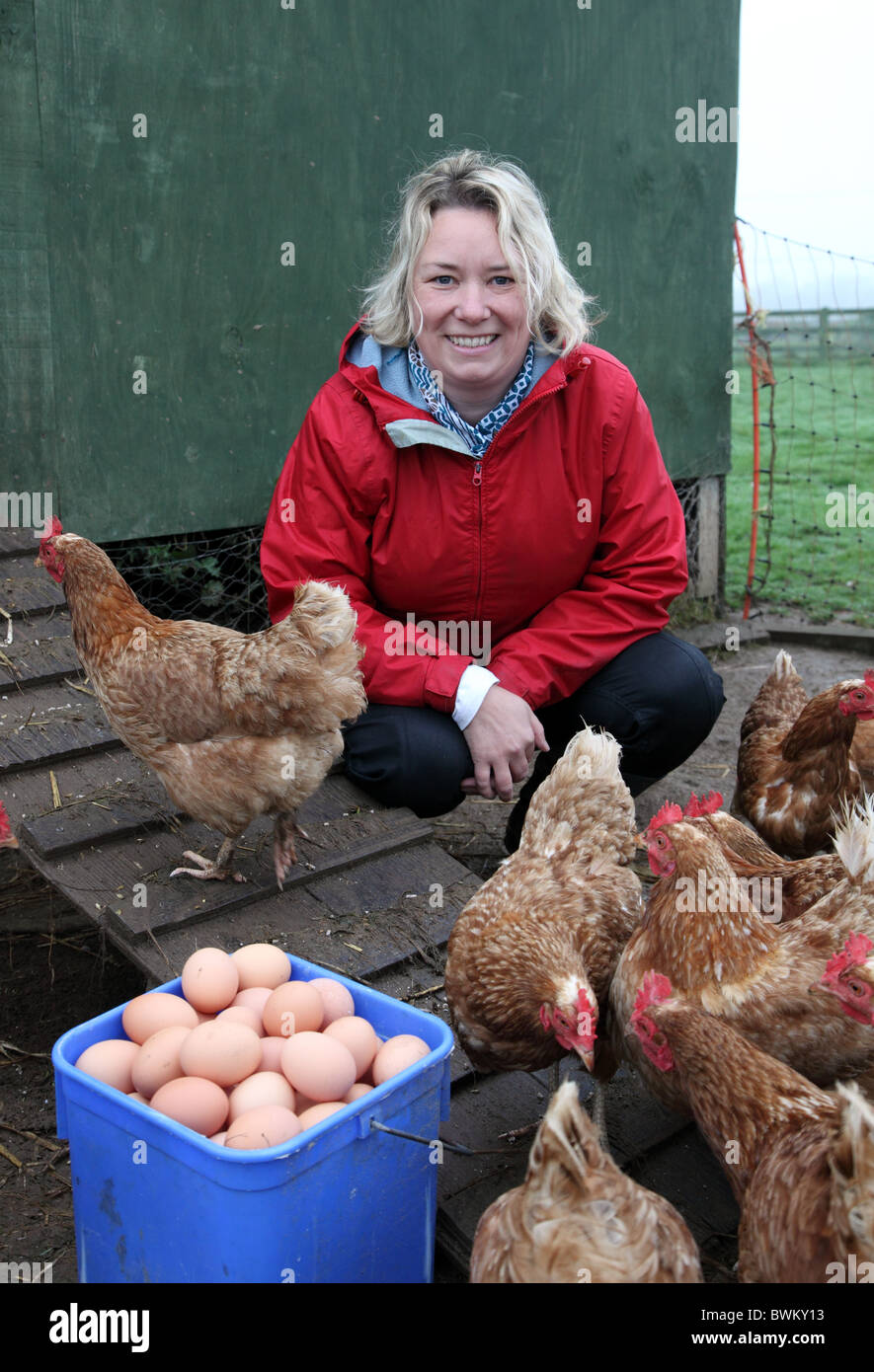 Bio-Landwirt Jenny Young mit Hühnern und Eiern neue gelegt, Castlefarm Shop, Co. Kildare Stockfoto