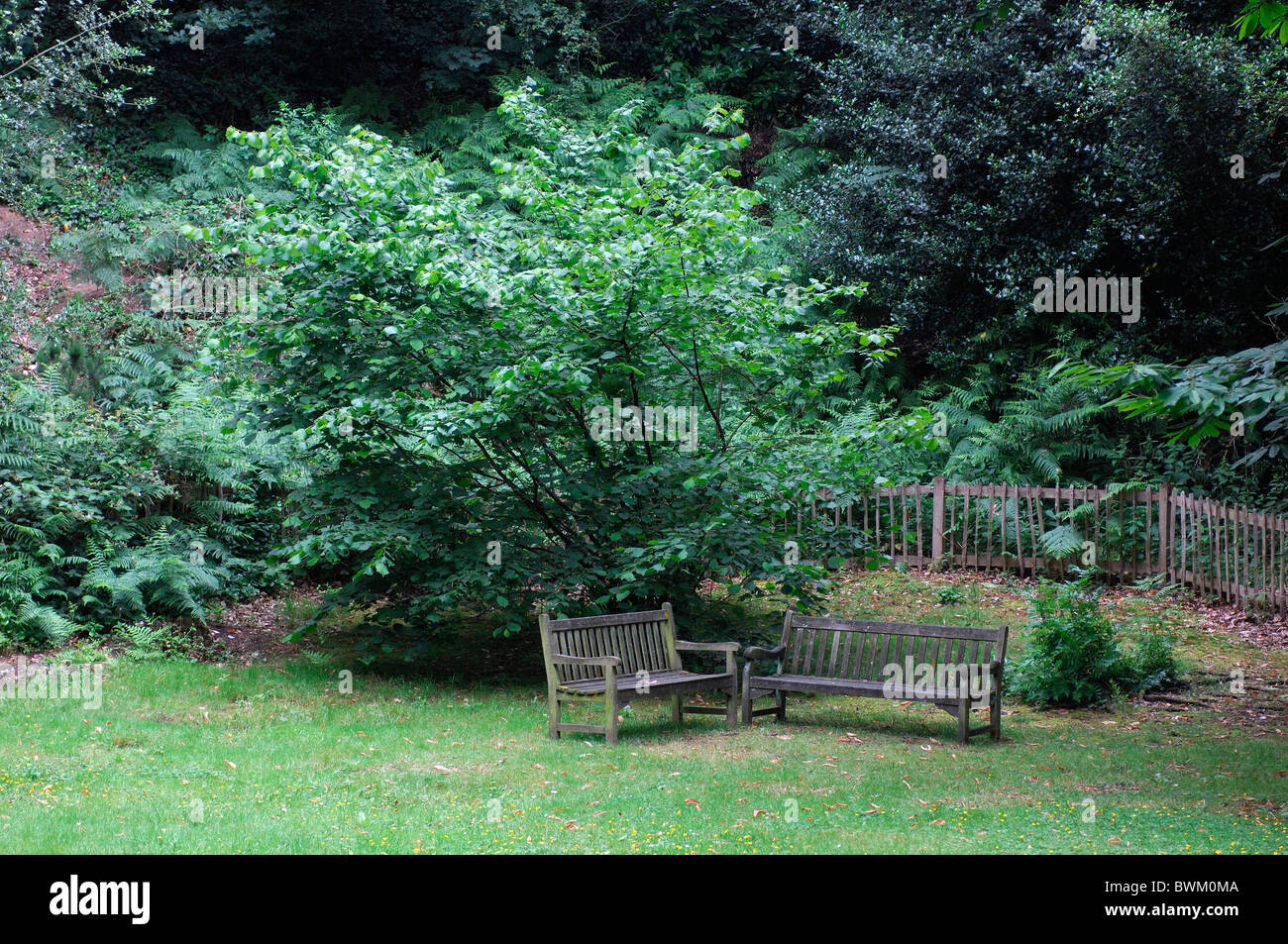 Grüne Gartenbank UK London Gärten Kenwood Estate Hampstead Heath Hampstead Großbritannien Europa England Stockfoto