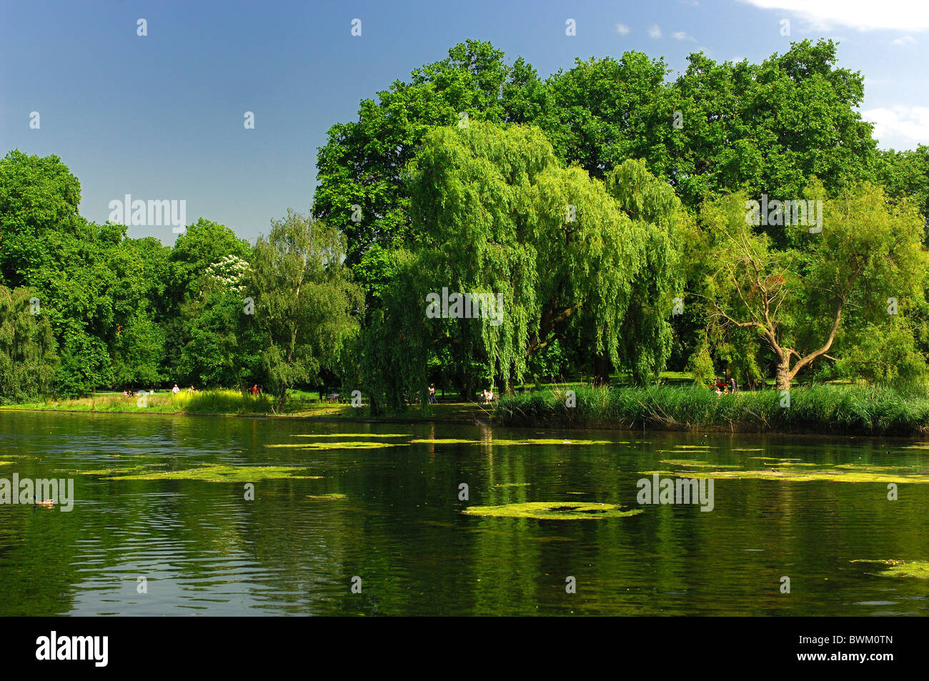 UK London St. James Park Strand Großbritannien Europa England See Wasser Bäume grün Natur Landschaft Stadt Stockfoto