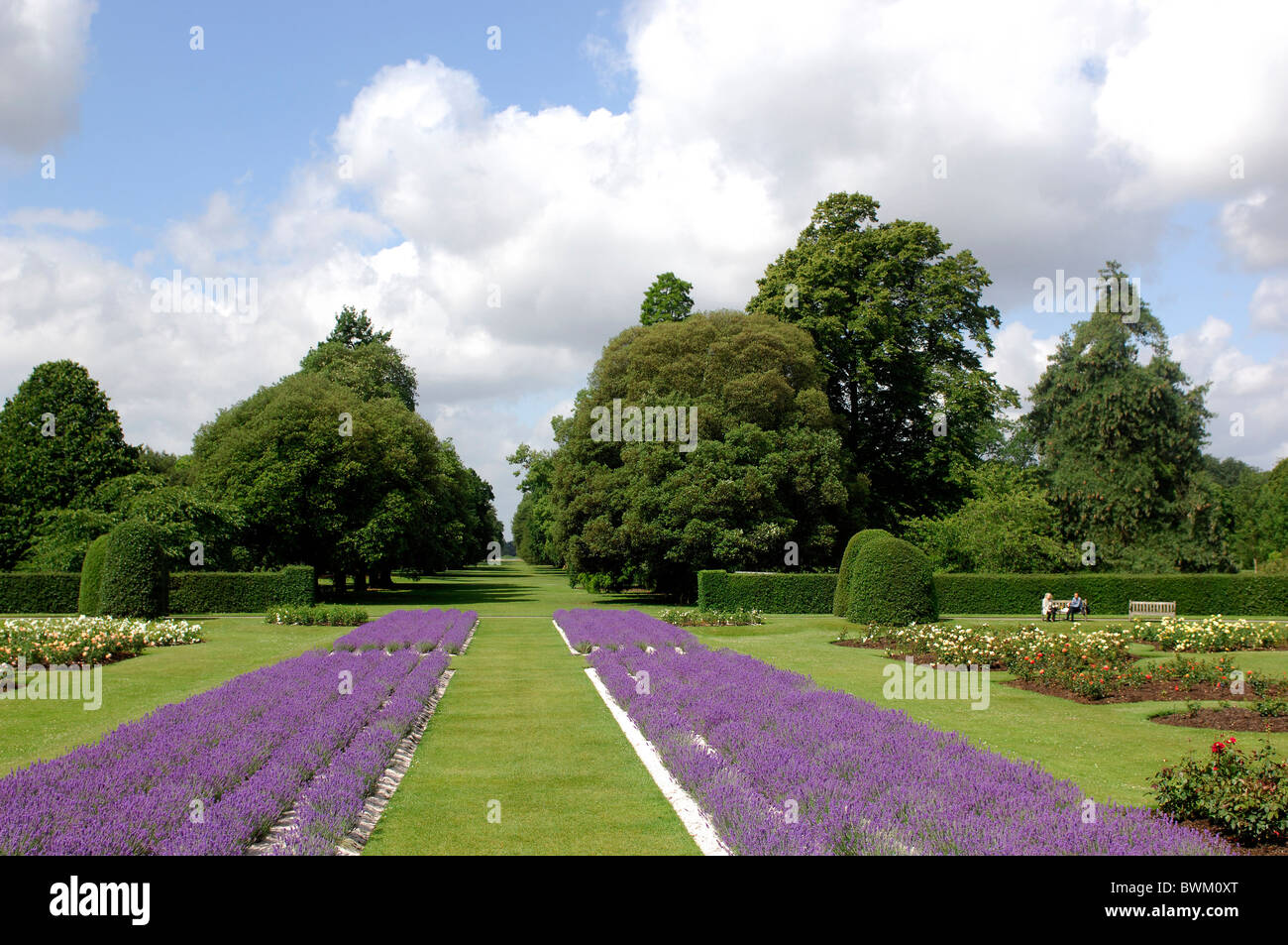 UK-London-Lavendel Felder Royal Botanic Gardens Kew Großbritannien Europa England Stadt Park, die grüne Natur Stockfoto
