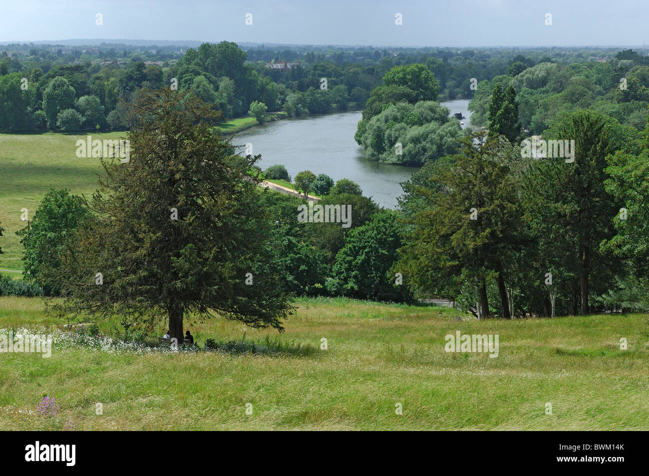 UK London Richmond Park Thames River Richmond Great Britain Europa England städtischen Waldpark Natur grün Stockfoto