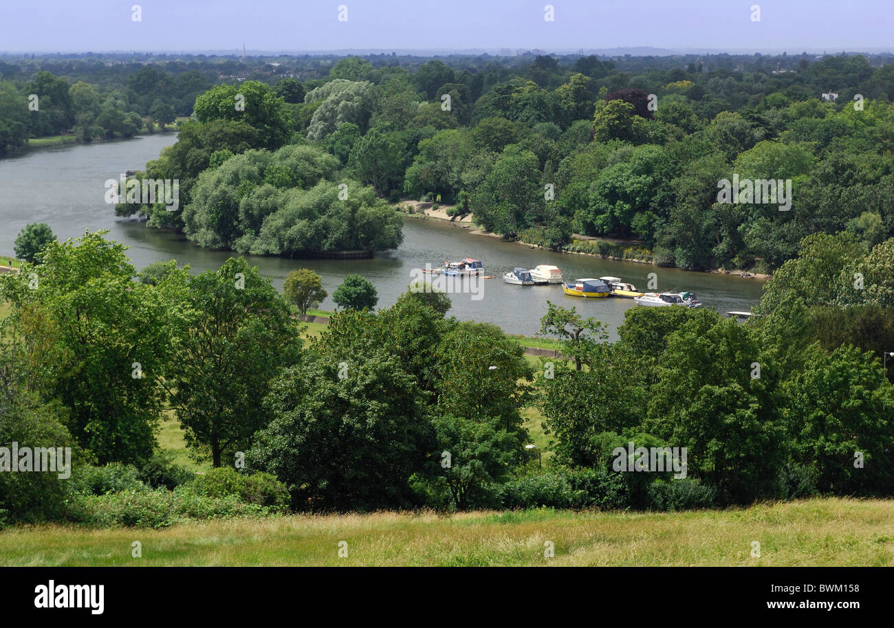 UK London Richmond Park Thames River Richmond Great Britain Europa England städtischen Waldpark Natur grün Stockfoto