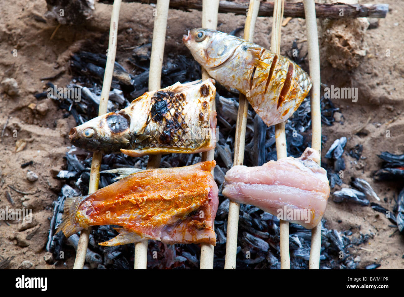 Fliegende Fische oder Exocoetidae Kochen auf Insel Lamu, Kenia Stockfoto