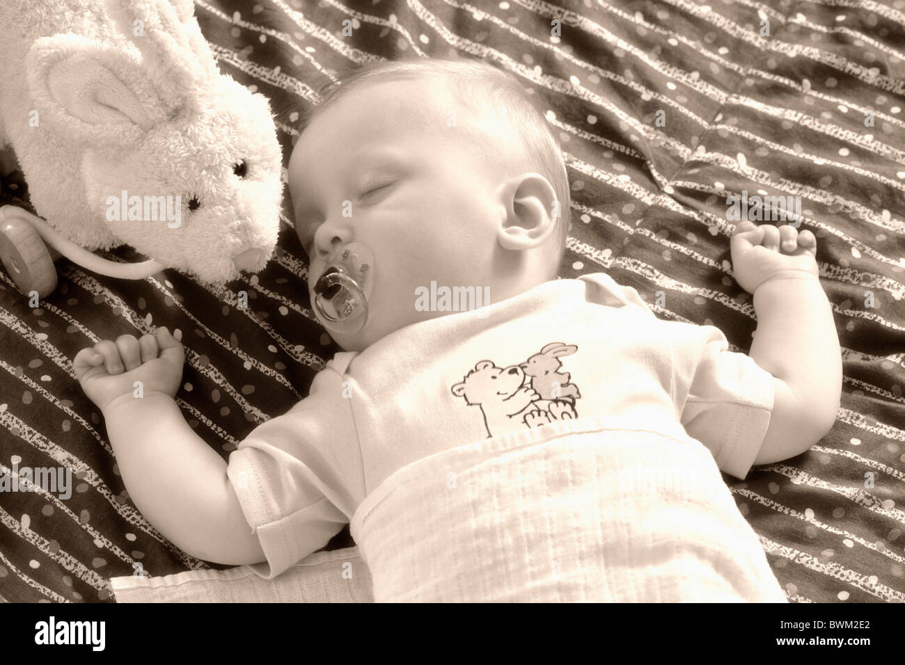 Baby Junge 7 Monate alten Kleinkind Porträt Kind Kinder eine Person blond Schnuller Binky Stück dummy Komfort Stockfoto