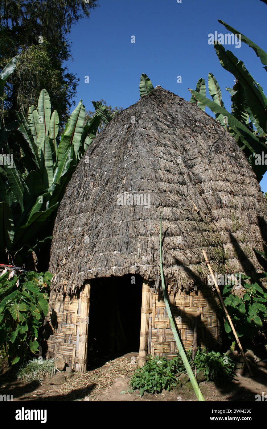 Traditionelle Dorze Bienenstock Hütte. Aufgenommen In Chencha, Omo-Tal, Äthiopien Stockfoto