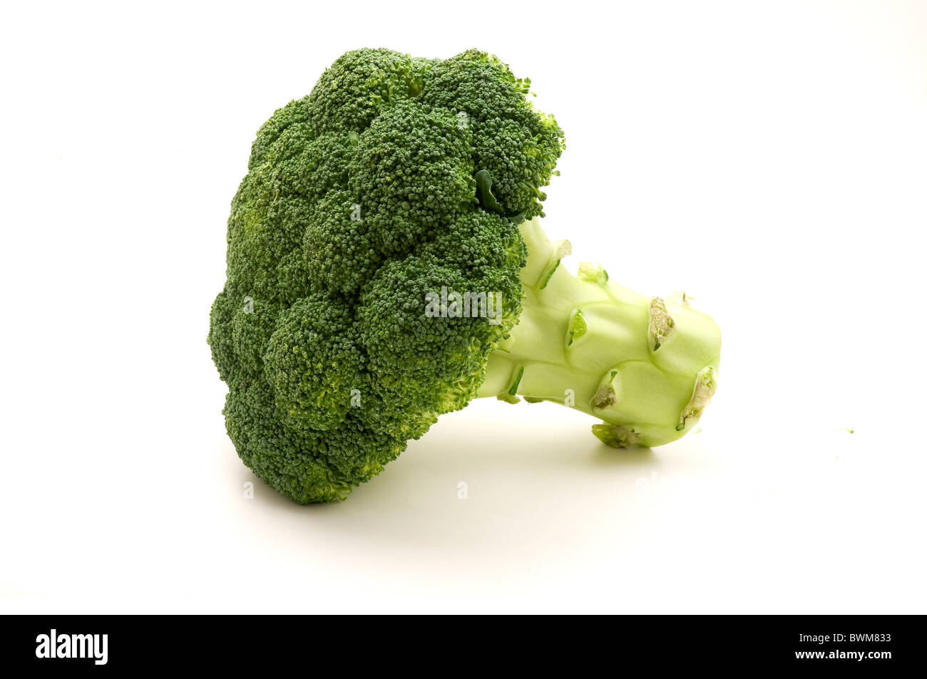 Brokkoli Calabrese auf weißem Hintergrund Stockfoto