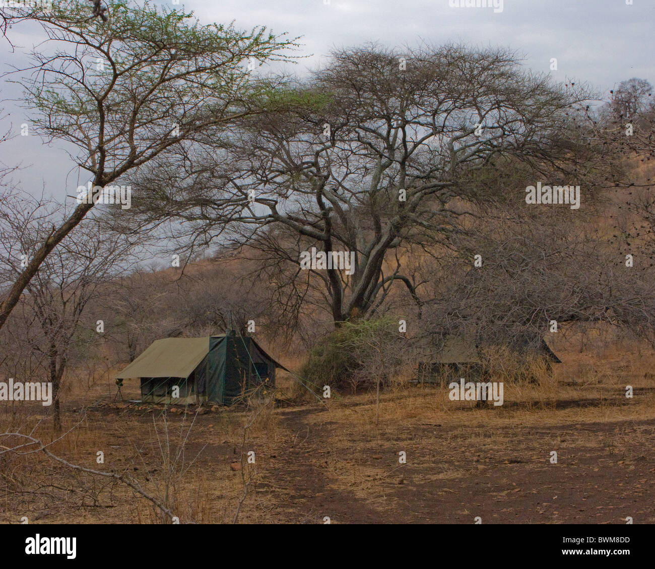 Zeltlager für Safari. Stockfoto