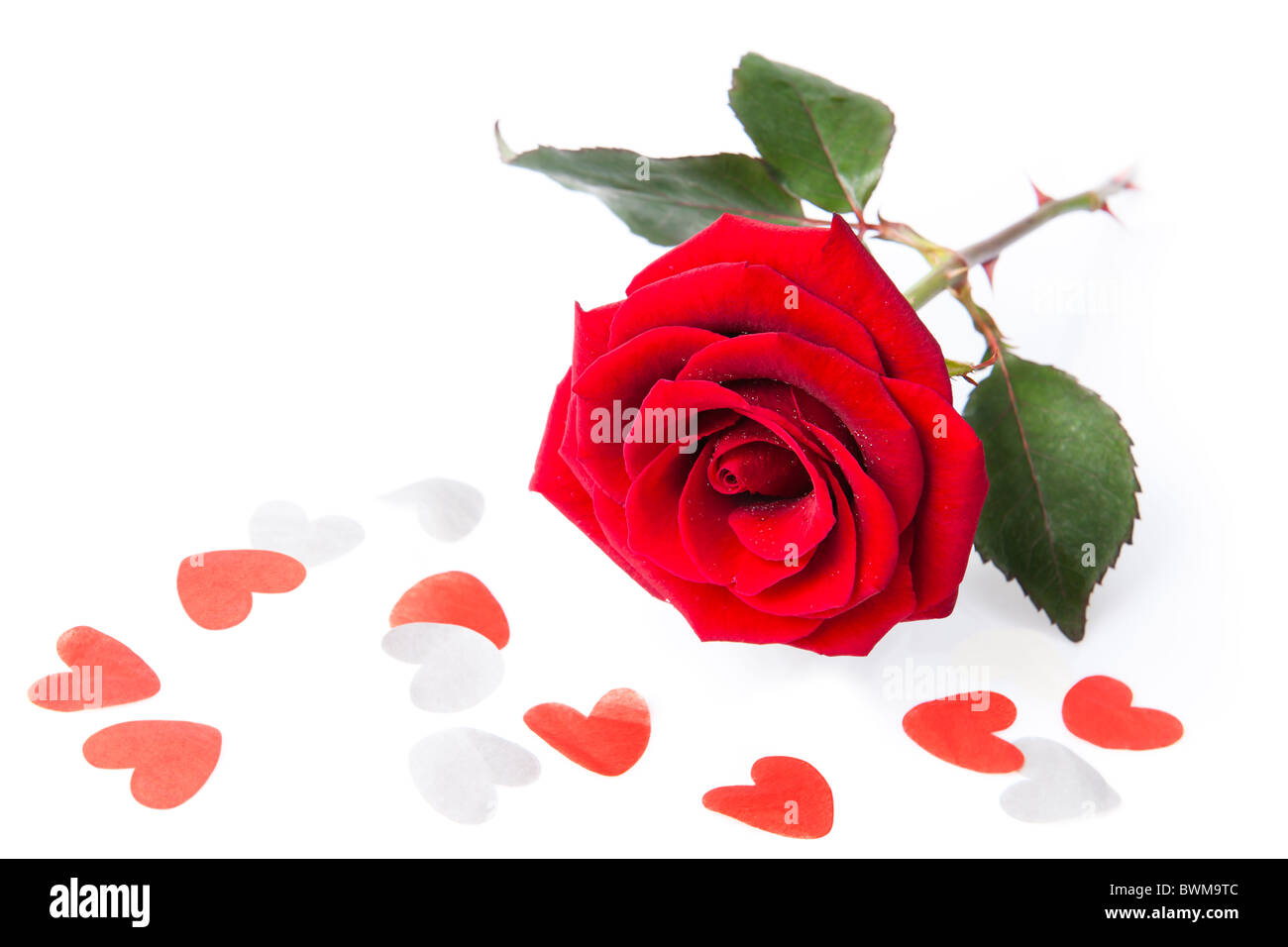 Rote Rose und Konfetti Stockfoto