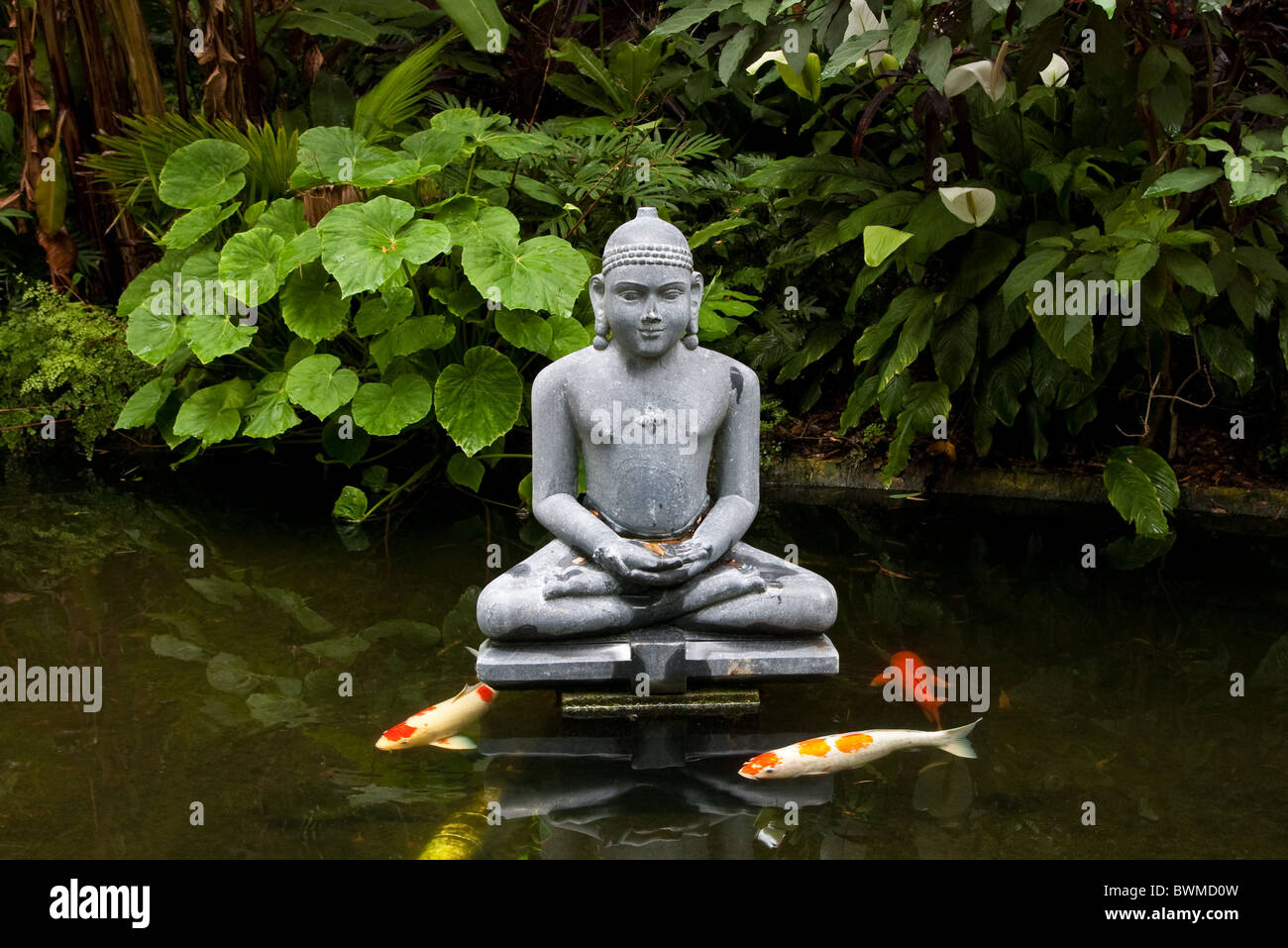 Statue von Buddha in einem Teich mit koi Stockfotografie Alamy