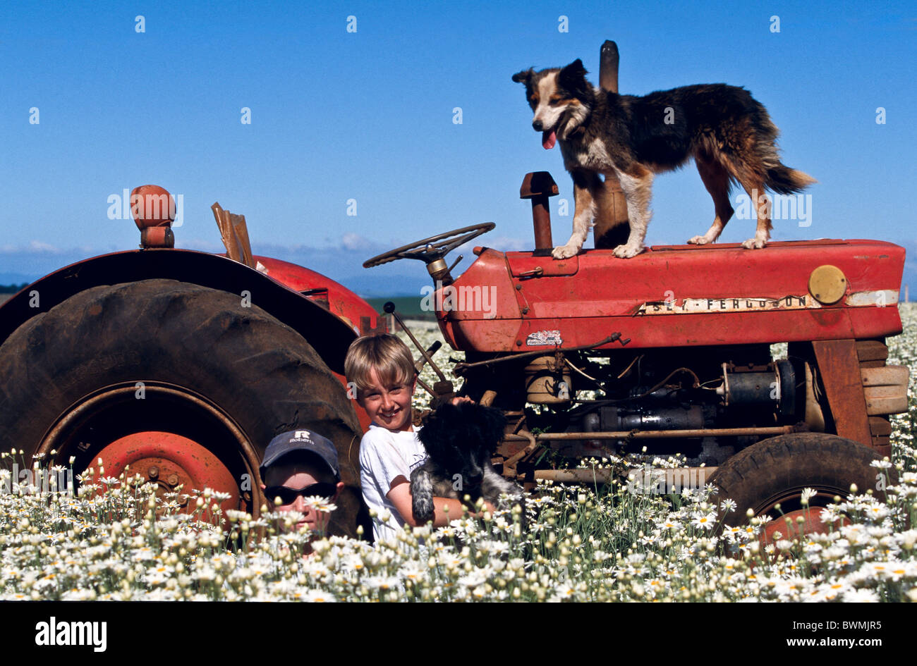 Land-Kinder und ihr Hund, Australien Stockfoto