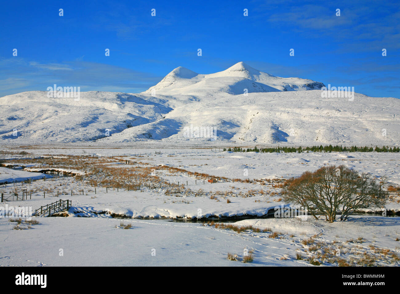 UK Schottland Sutherland Highland Mountain von Culmore aus dem Dorf Elphin im winter Stockfoto