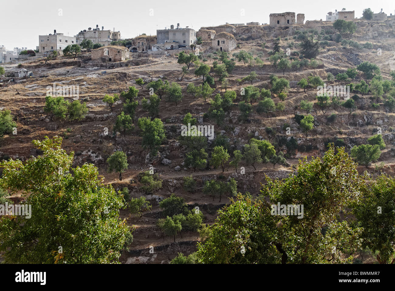 Palästinensische Autonomiebehörde Ramallah Bereich christlichen Dorf Taybeh Stockfoto