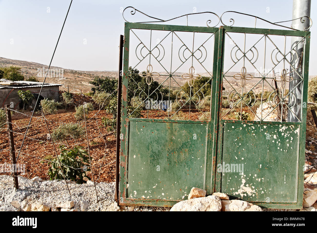 Ein Garten im Bereich christlichen Dorf Taybeh Stockfoto