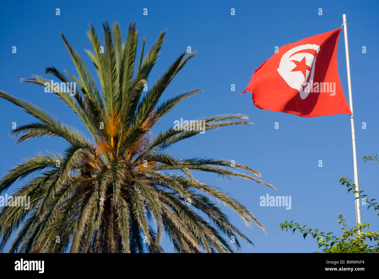Tunesische Flagge. Halbmond und Stern auf rotem Grund Stockfoto