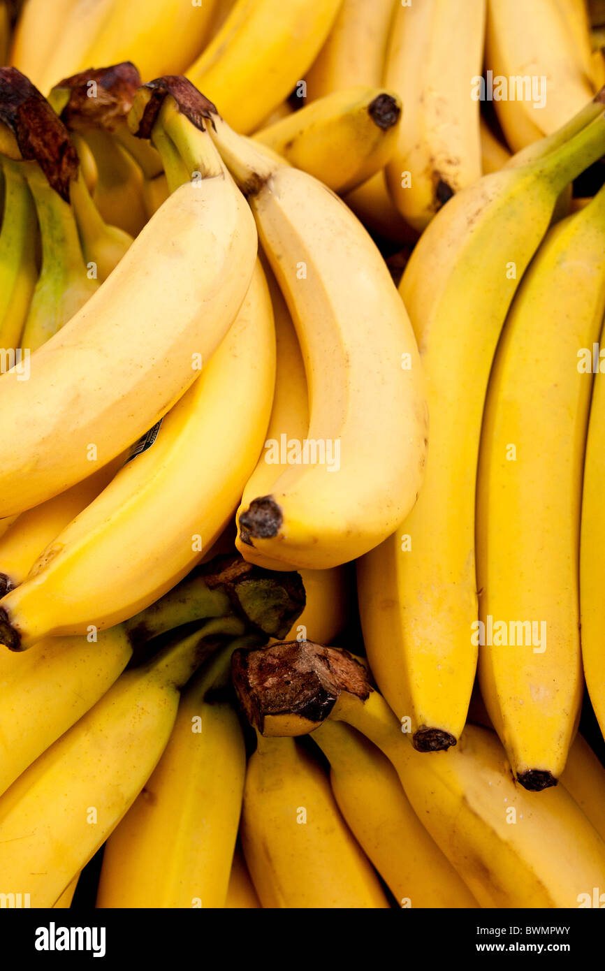 frische Bananen Zeilen closeup Stockfoto