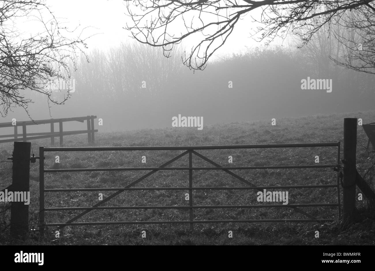 Schwarz / weiß Misty und nebligen Szene des Tores auf Feld in UK Stockfoto