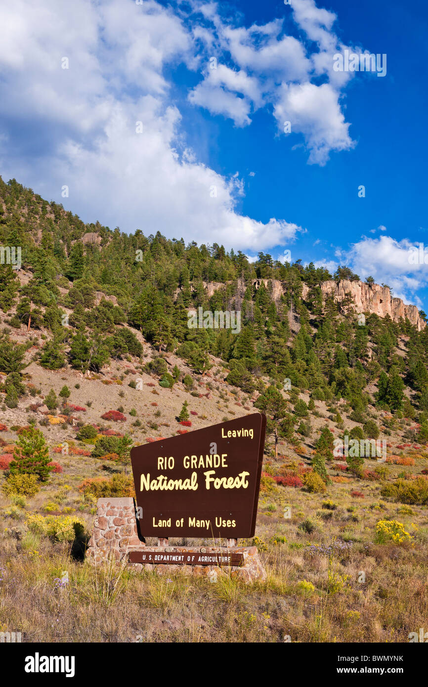 Nationalwald Zeichen unter die Rio Grande Palisaden (Highway 149), Rio Grande National Forest, Colorado Stockfoto