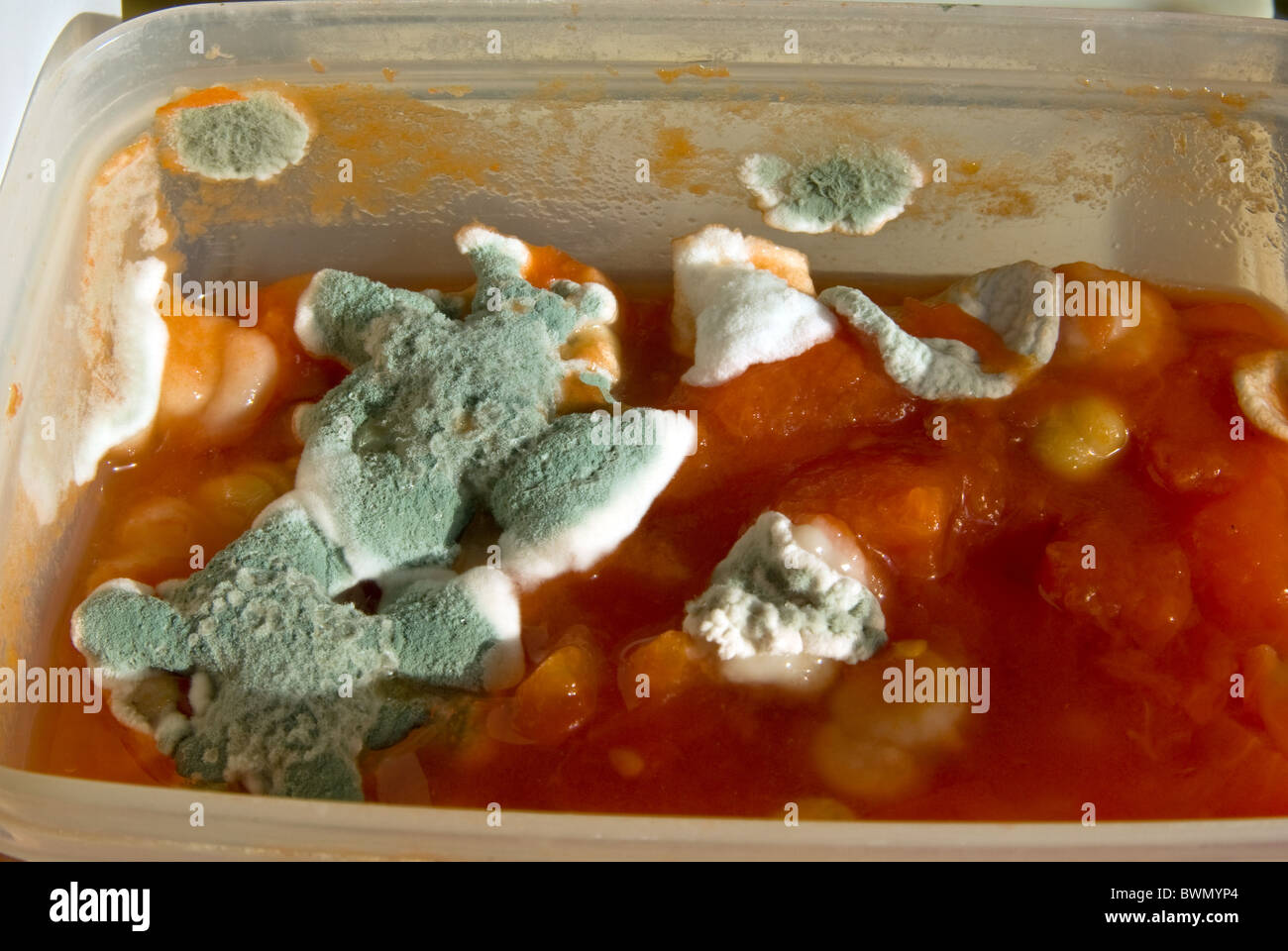 Schimmel an Lebensmittel penicillium Stockfotografie - Alamy