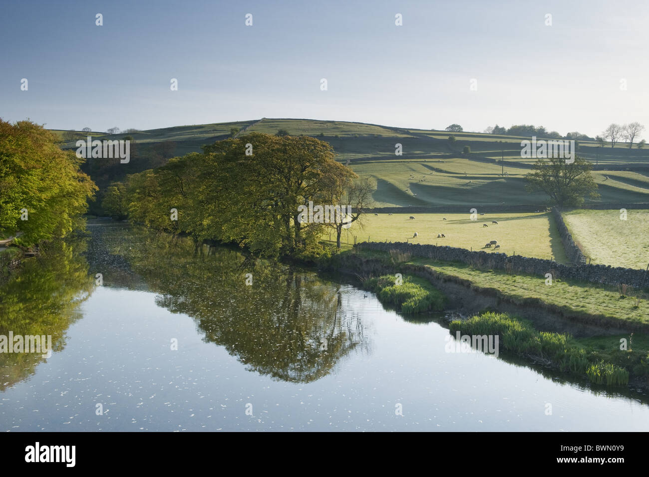 Reflexionen der Bäume in den Fluß Wharfe im Burnsall. Stockfoto