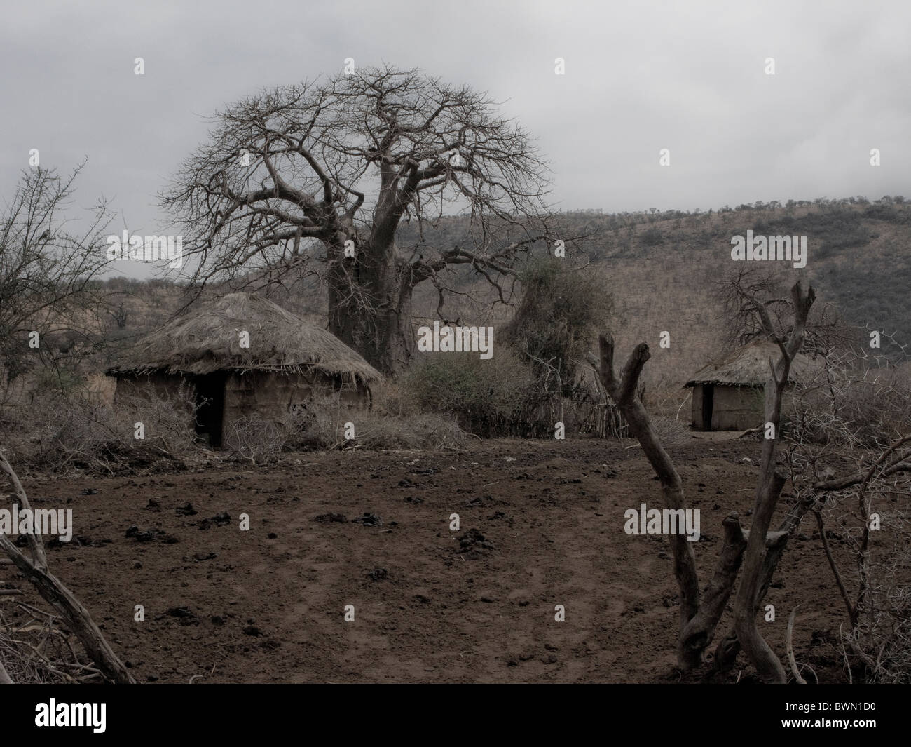 Traditionellen Masai Schlamm und Stroh Hütten in Tansania. Stockfoto