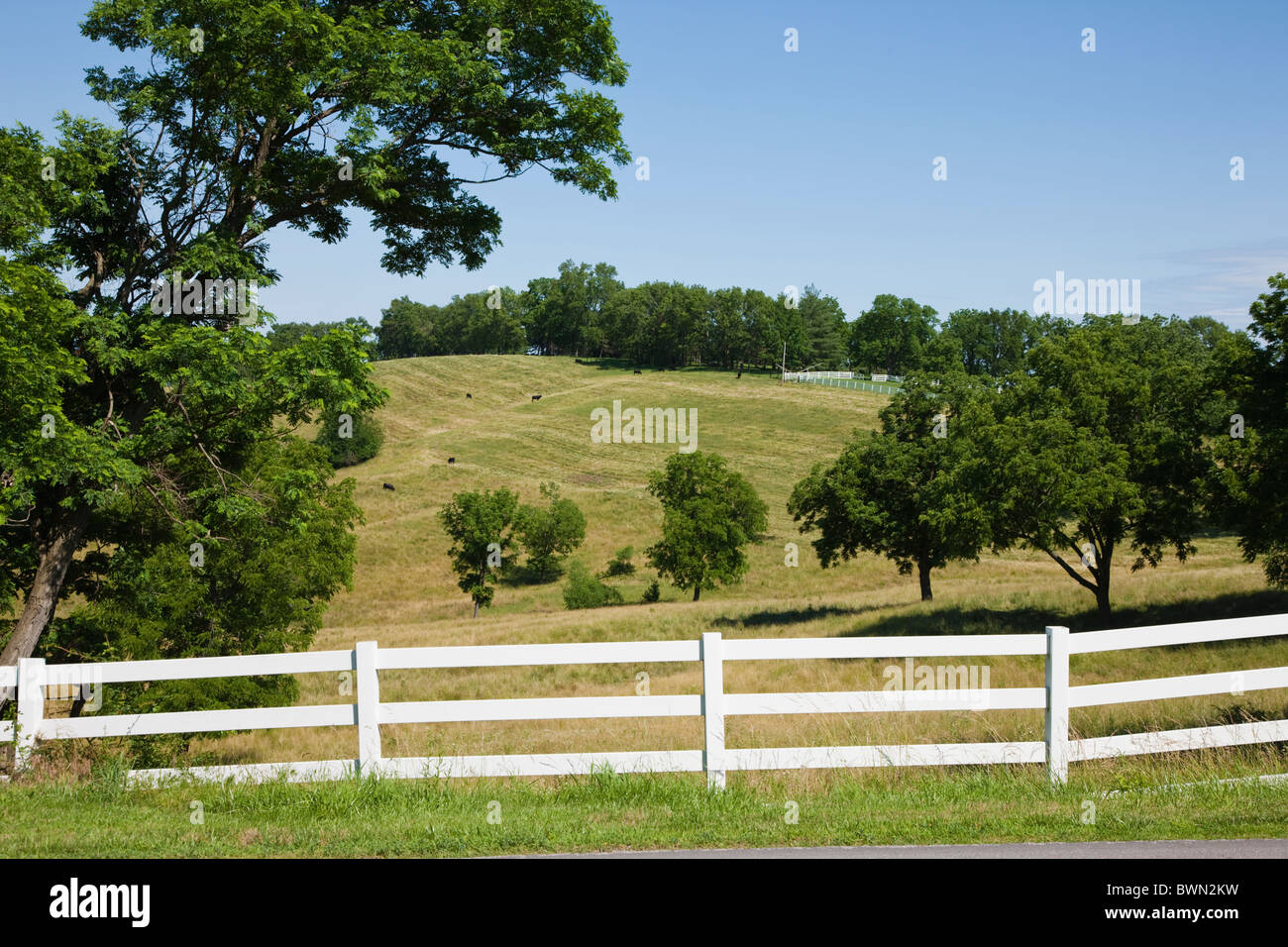 USA, Missouri, weißer Zaun auf Feld Stockfoto