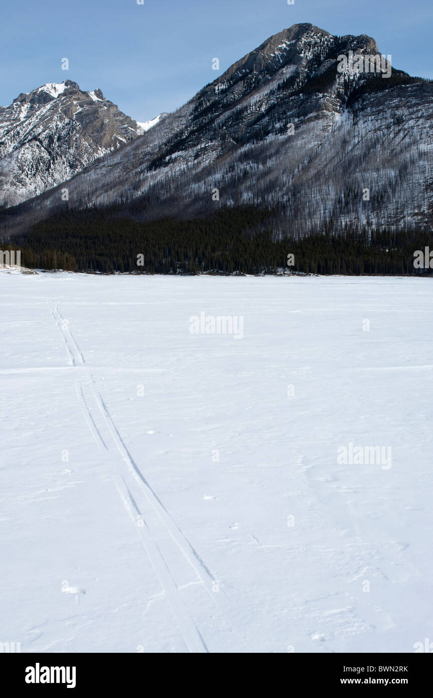 Langlaufloipen im Schnee Vermilion Lake, Banff National Park, Banff, Alberta, Kanada. Stockfoto