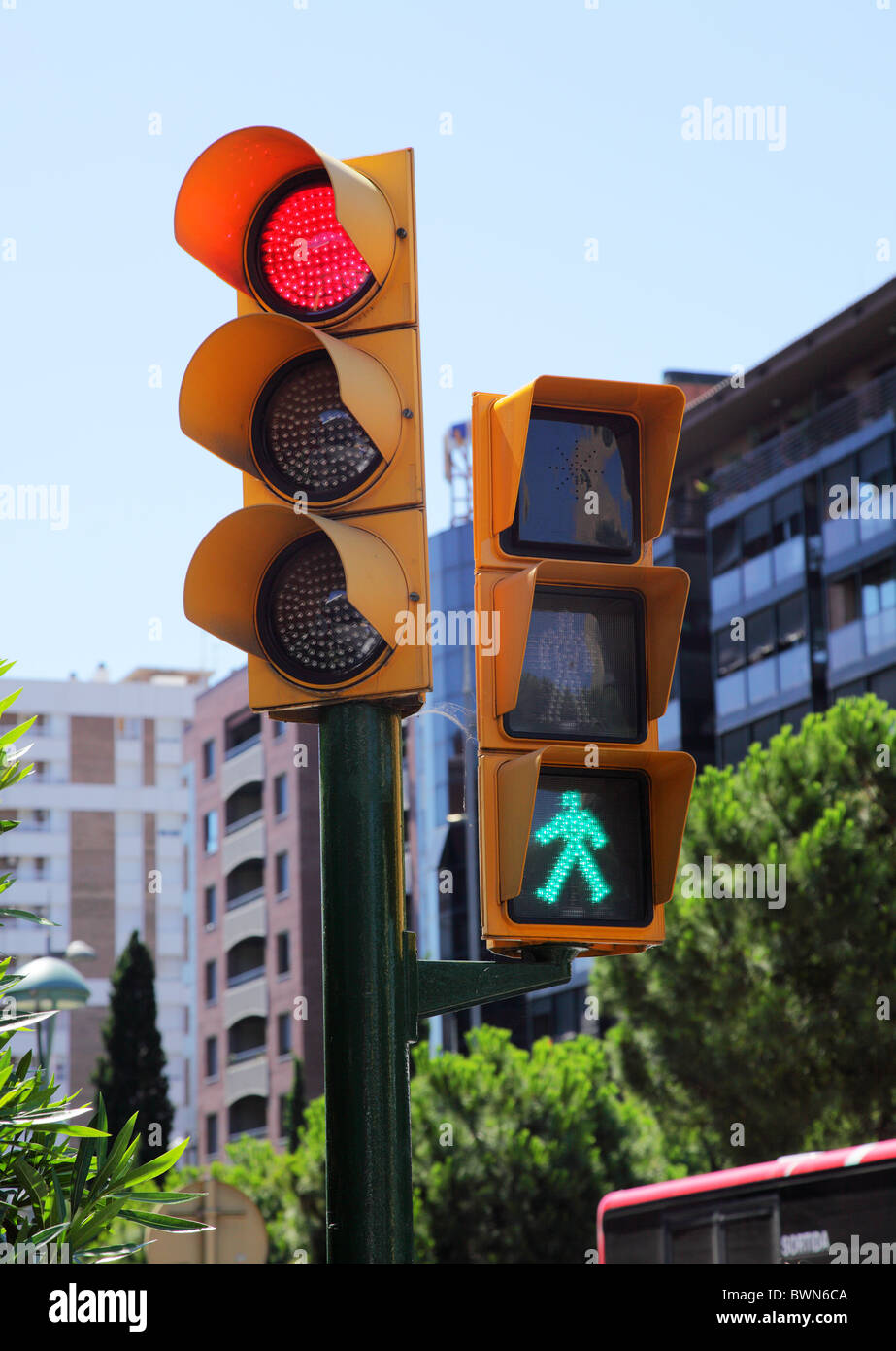 Ampel für Autos und Fußgänger, grünes Licht Stockfoto