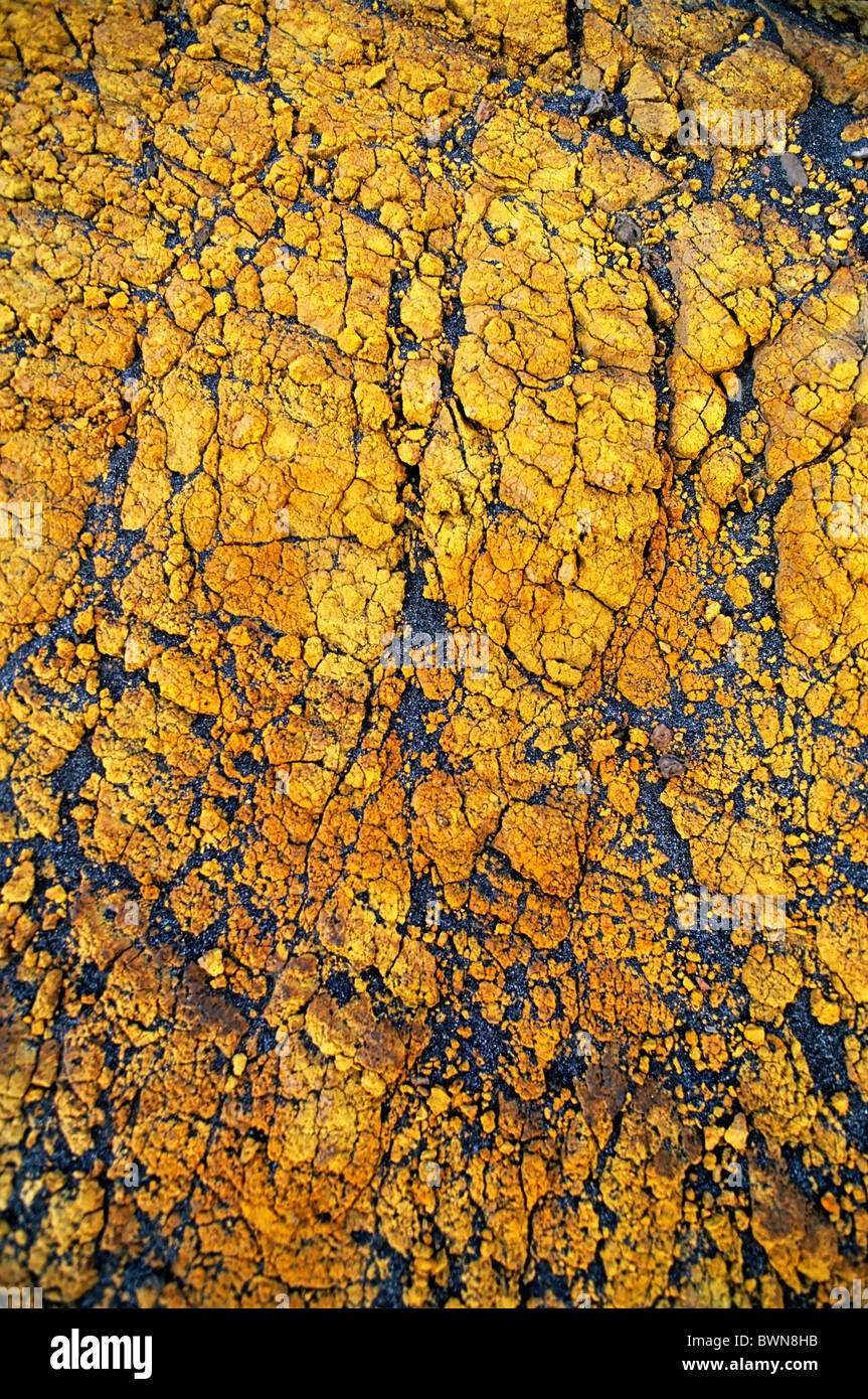Gelbe Kruste (Nahaufnahme) auf Asche schlicht, Vulkan Yasur, Sulphur Bucht, Insel Tanna, Vanuatu Stockfoto