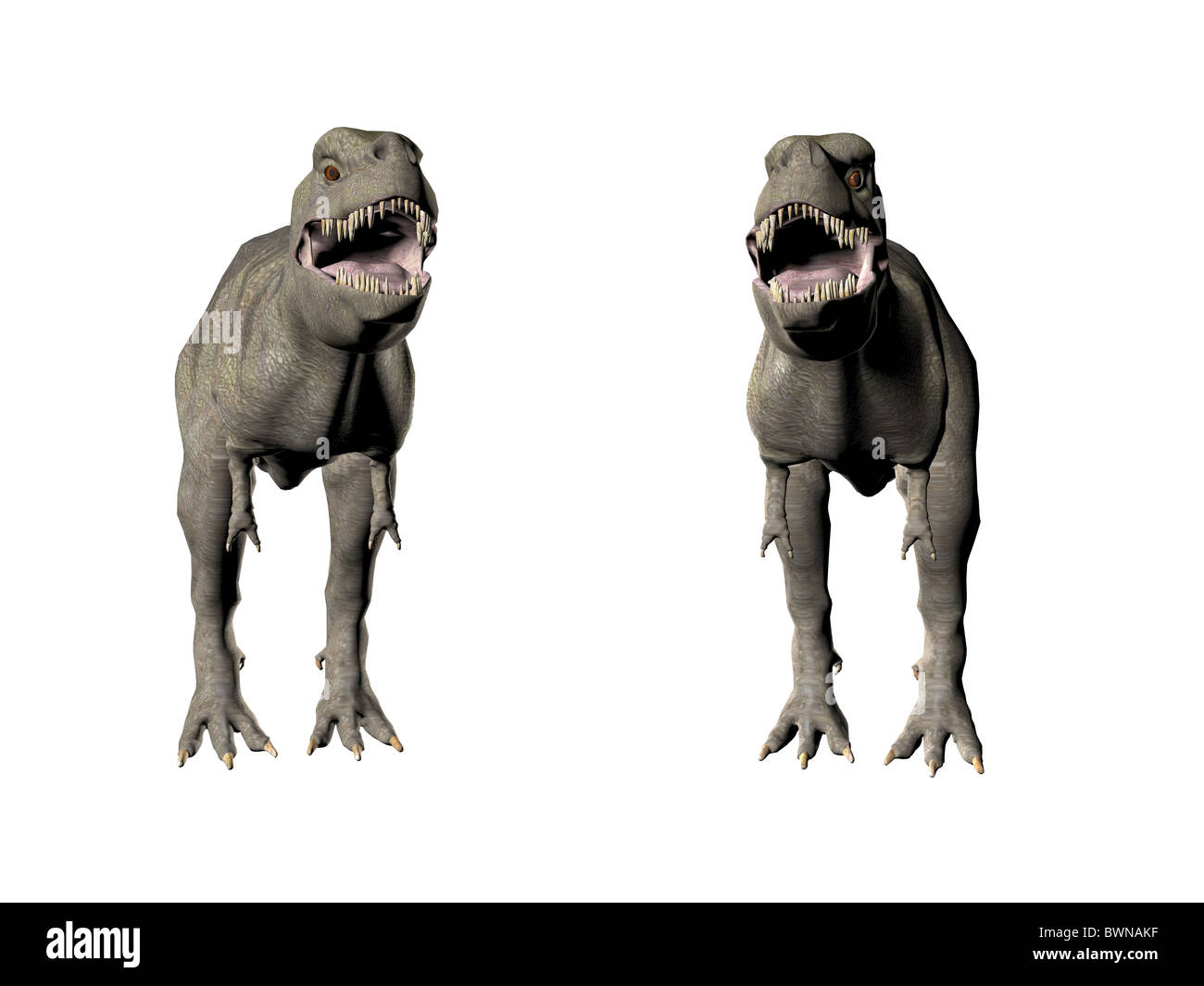 3D Abbildung eines Dinosauriers Tyrannosaurus Rex Stockfoto