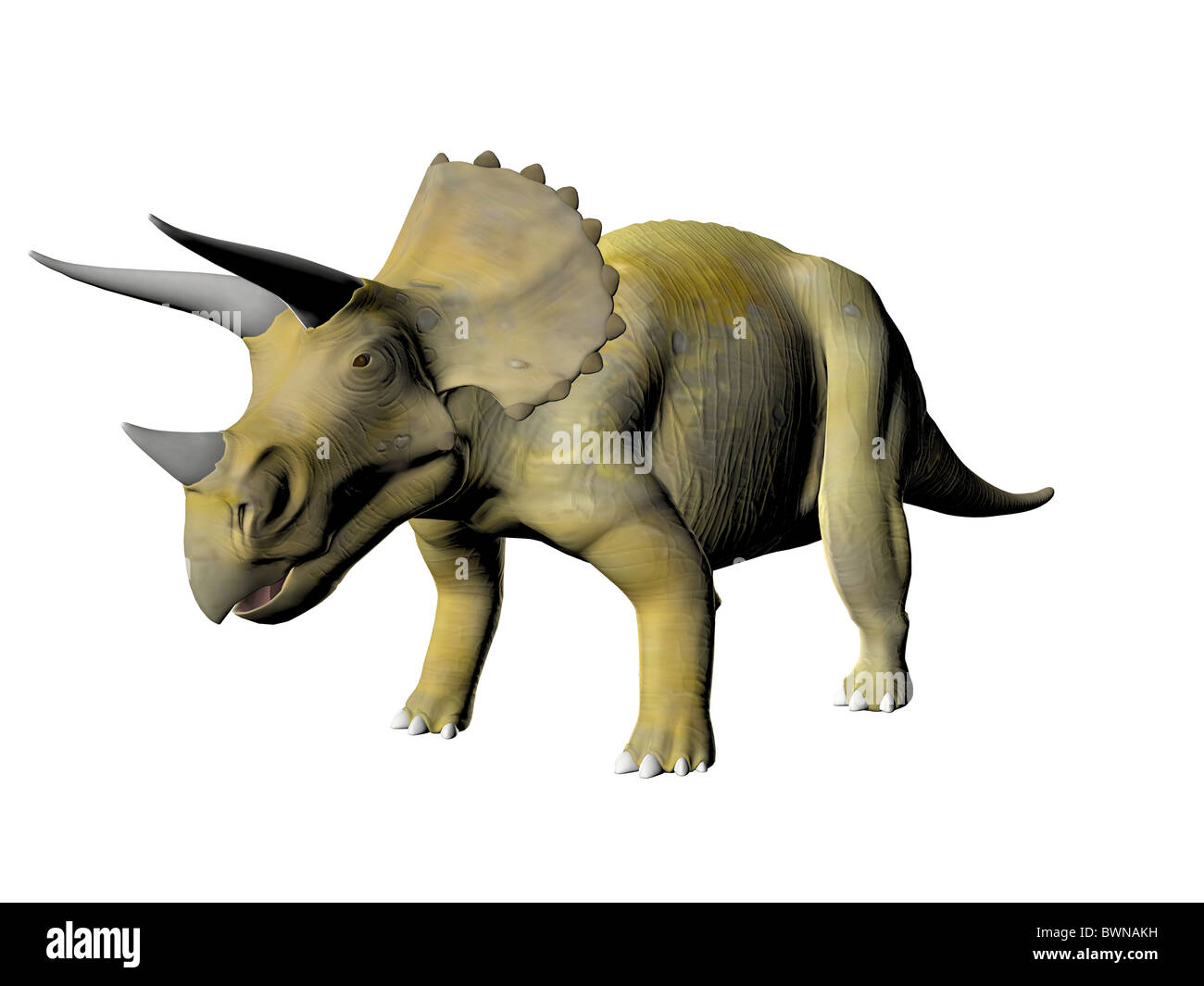 Eine alte Jura ausgestorbenen Reptilien Dinosaurier Triceratops Stockfoto