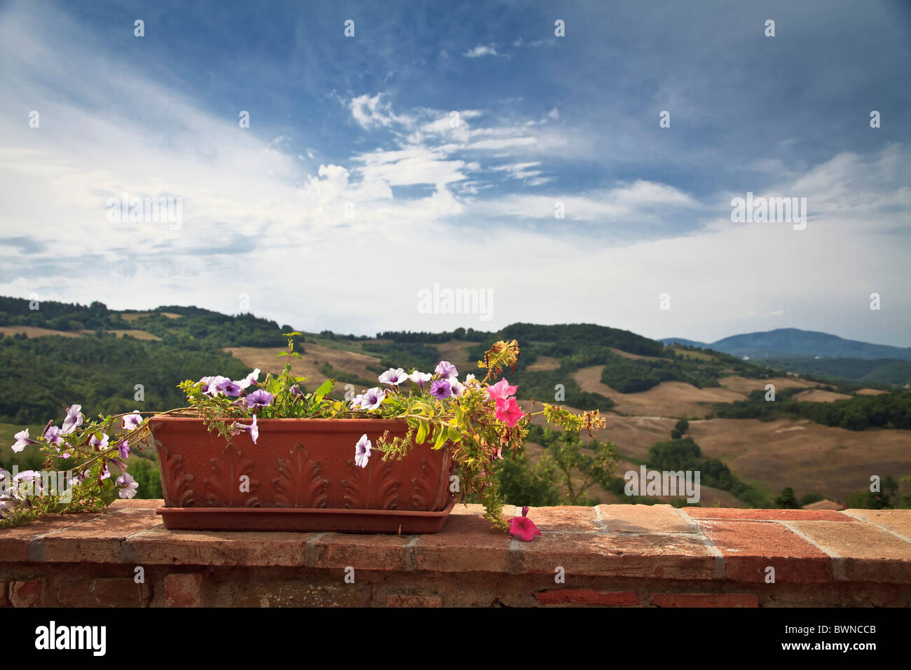 Übertopf gefüllt mit bunten Blumen am Balkon mit Blick auf die toskanische Landschaft unter dramatischen Wolkenhimmel Stockfoto