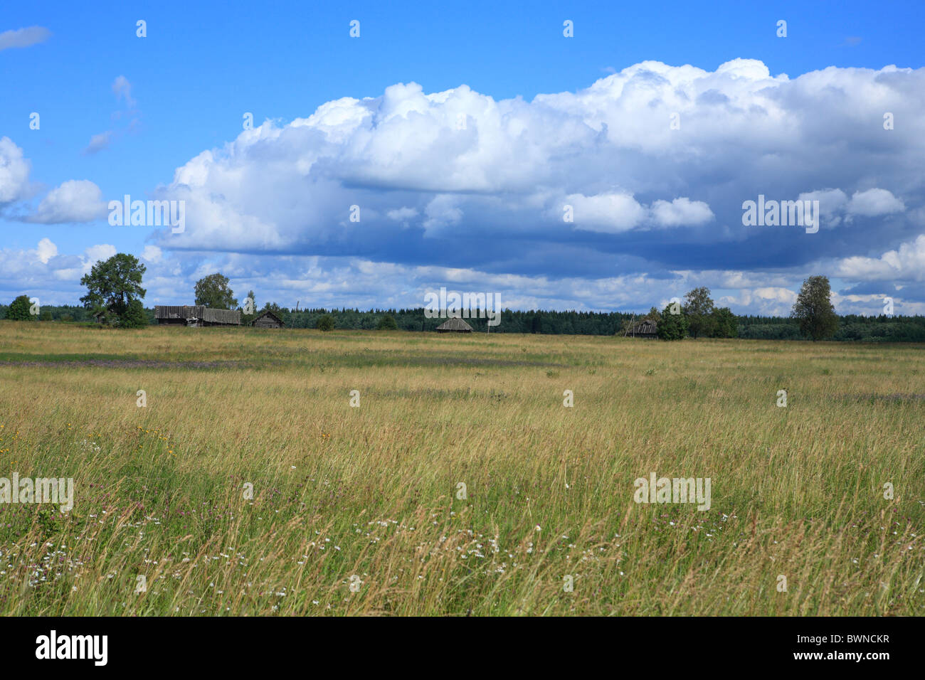 Russland Kuchepalda russischen Archangelsk Region Archangelsk Europa Norden Nordwesten hölzerne blauer Himmel Rural Stockfoto