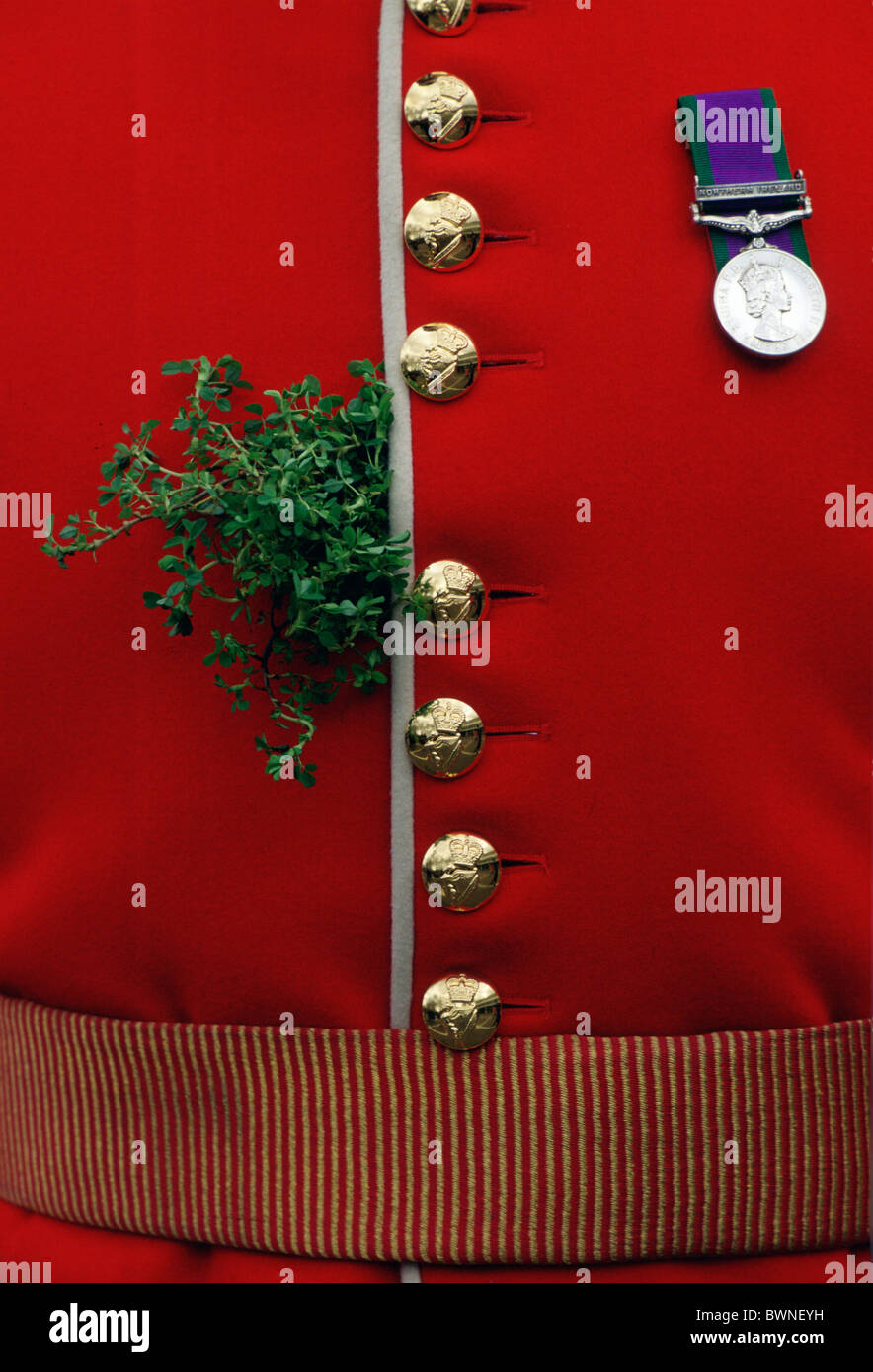 Nahaufnahme eines Offiziers der 1. Bataillon Irish Guard Uniform und Shamrock am St. Patricks Day Stockfoto