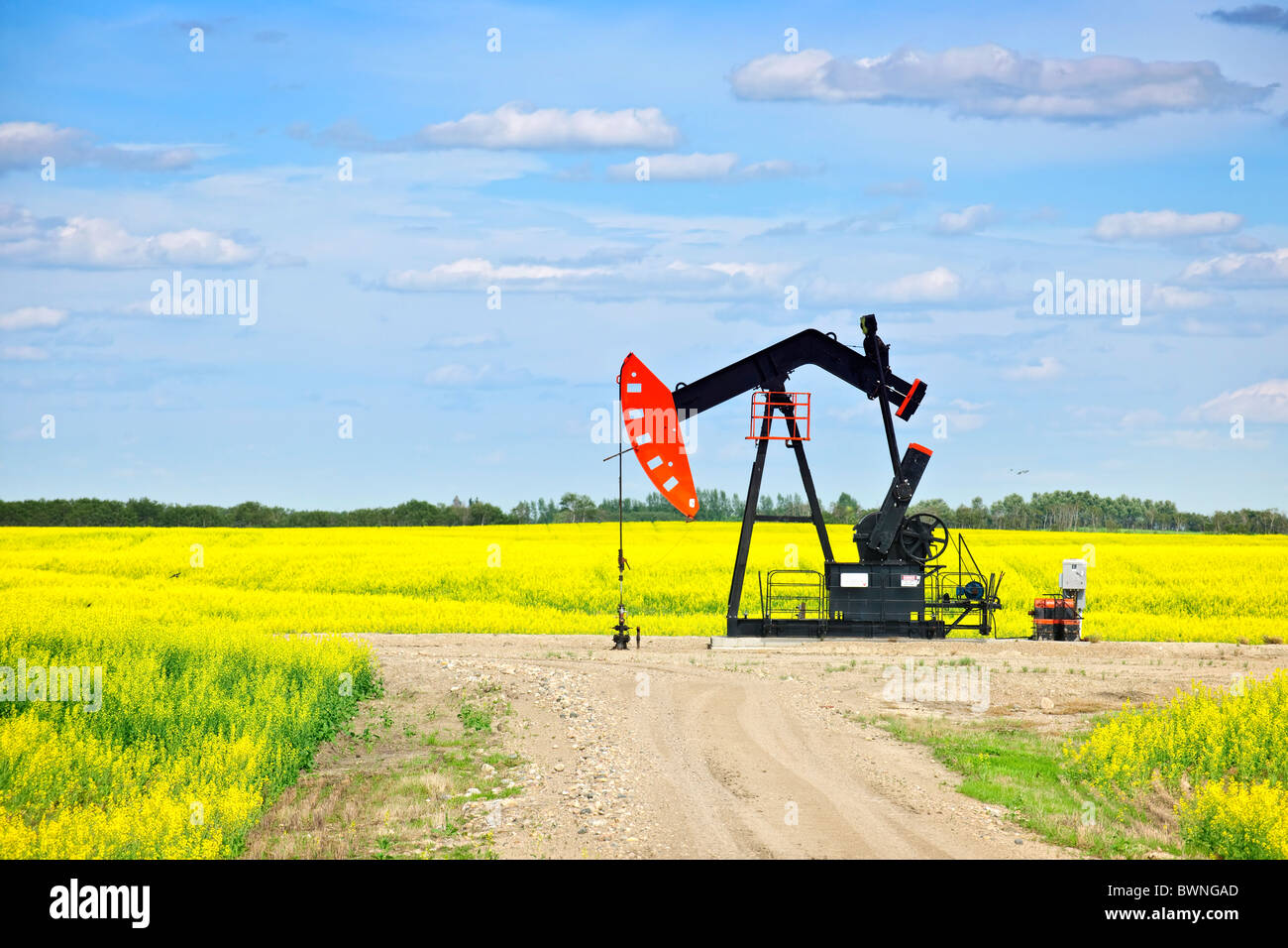 Öl Bohrschwengels oder nicken Pferd Pumpanlage in Saskatchewan Wiesen, Kanada Stockfoto
