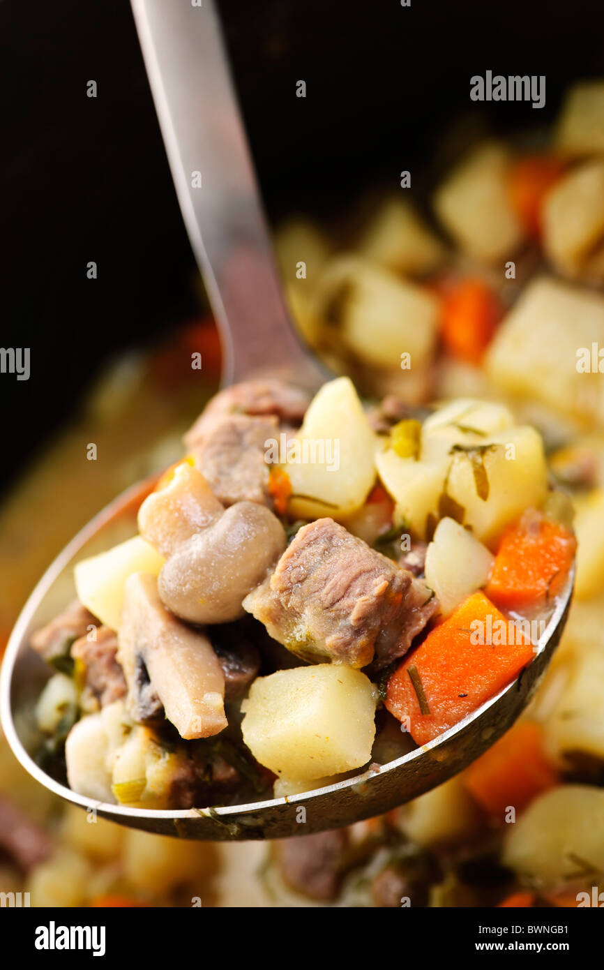 Herzhafte Rindfleisch und Kartoffeln Eintopf mit Gemüse, serviert mit Kelle Stockfoto