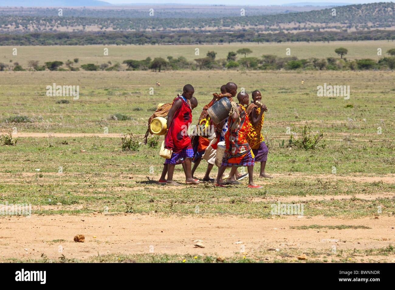 Massai-Frauen tragen frisches Wasser in ihr Dorf auf der Masai Mara, Kenia Stockfoto