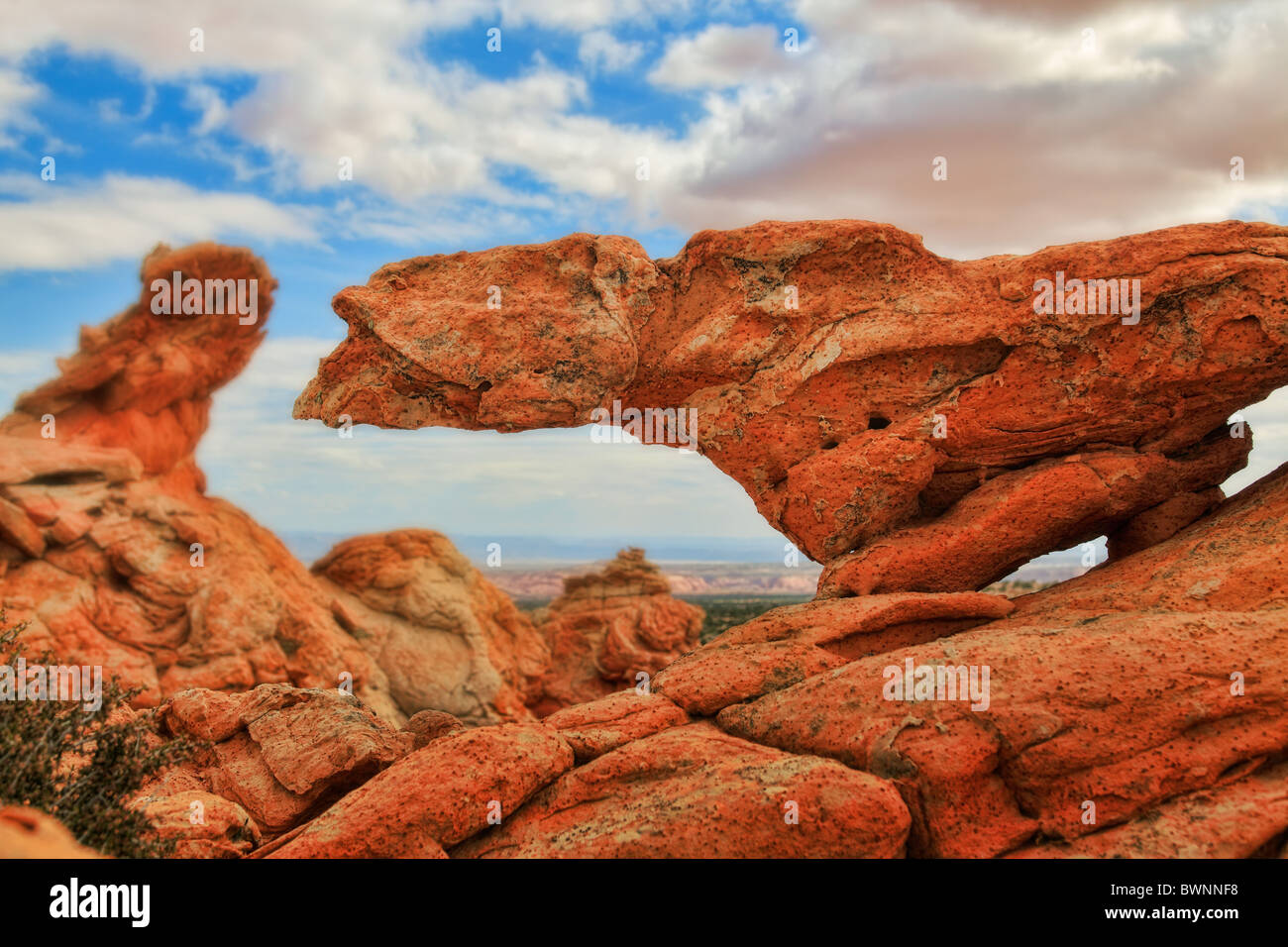 Felsformationen in der Vermilion Cliffs National Monument, Arizona Stockfoto