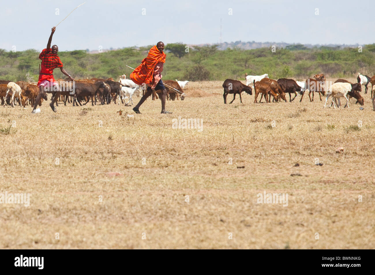 Massai-Hirten auf die Masai Mara, Kenia Stockfoto