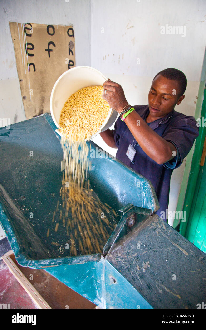 Junger Mann Schleifen Korn zum Mehl in einer Posho-Mühle, Nairobi, Kenia Stockfoto