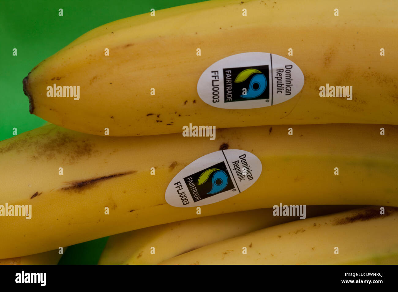 Fair-Trade-Aufkleber auf Dominikanische Republik Bananen Stockfoto
