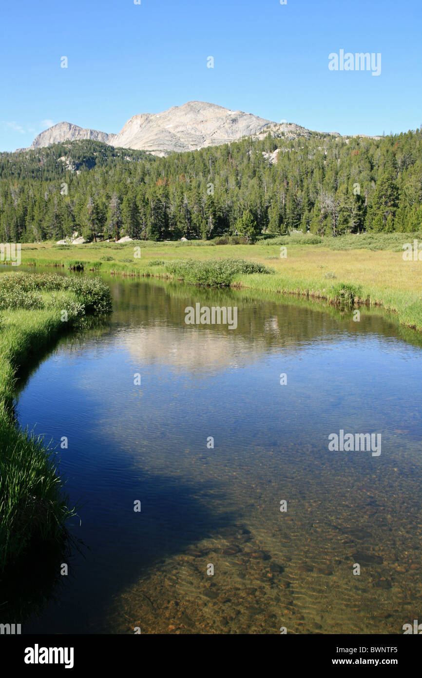 Popo Agie-Wildnis-Stream in der Wind River Range in Wyoming Stockfoto